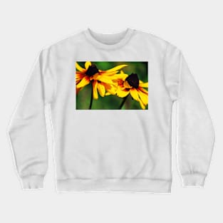 A couple of Black Eyed Susan flowers Crewneck Sweatshirt